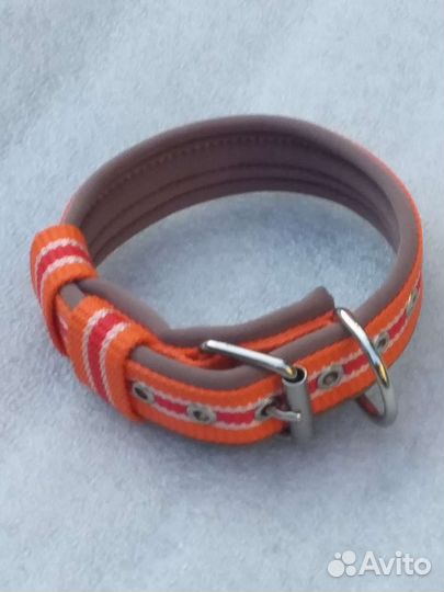 Ошейник для собак