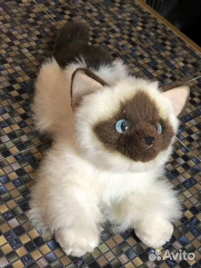 Котёнок по имени Гав