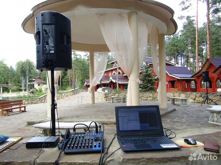 Музыка (диджей) на праздник. Гармонист