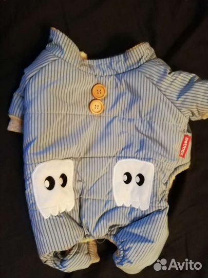 Одежда для собак и домик для щенят или котят