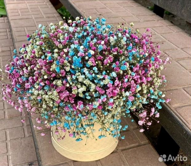 Живые цветы букеты