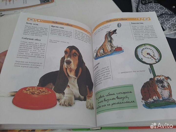 Книга для девочек хозяйка в доме