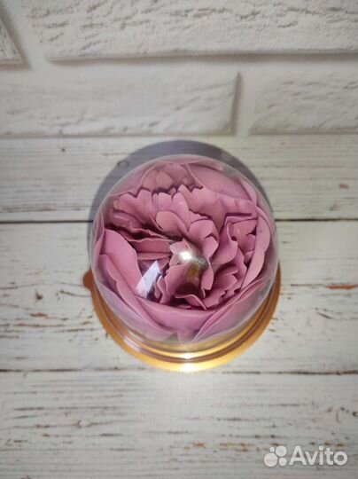 Мыльный пион комплимент