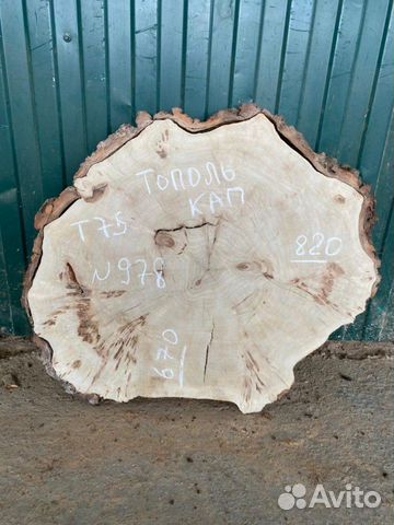 Спилы карагача, капового тополя (слэб)