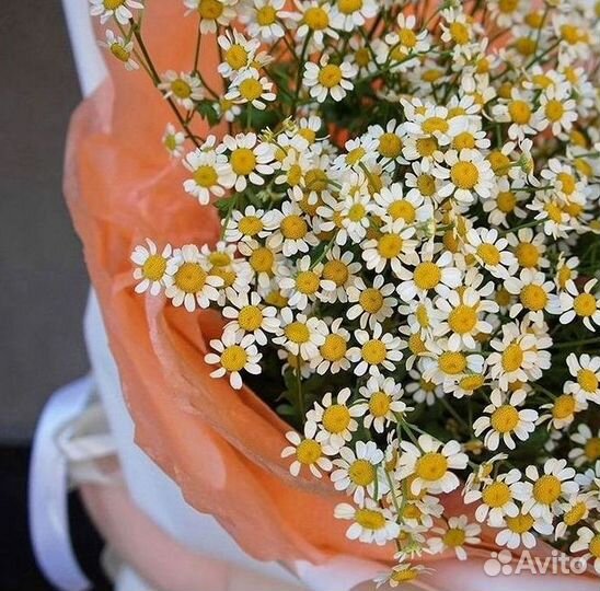 Букеты ромашек