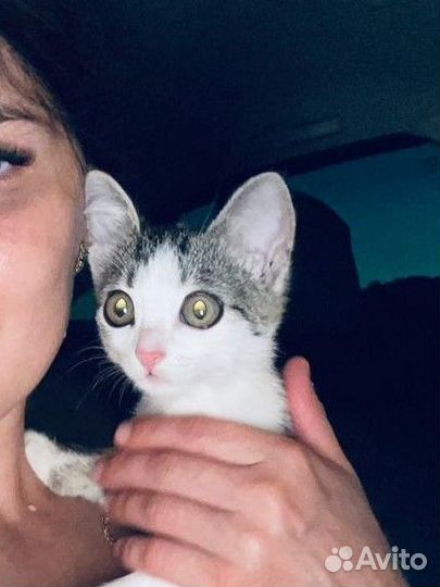 В хорошие руки 2месяца