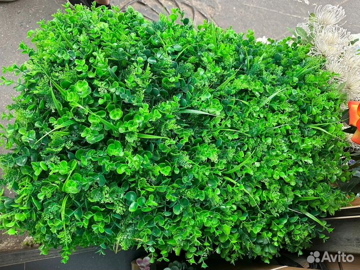 Самшитовые коврики 60*40