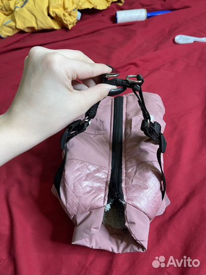 Одежда для собак