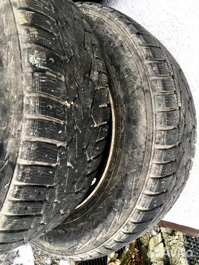Nokian Tyres Hakkapeliitta 1 215/65 R16