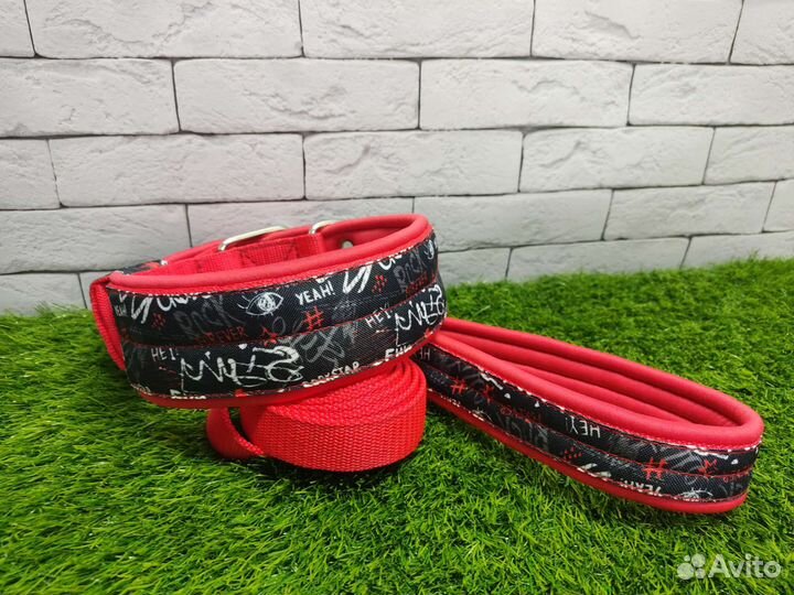 Ошейники на заказ амуниция