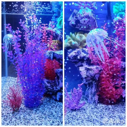 Продажа Аквариумов от 300 литр (Ремонт) Хабаровск