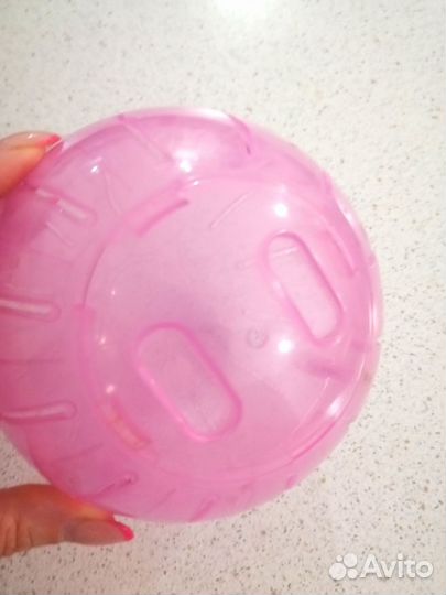 Домик для хомяка, прогулочный