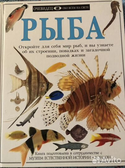 Очевидец Дорлинг Киндерсли 5 книг