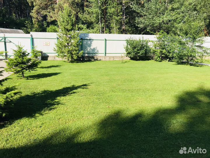 Профессиональный посев газона и уход