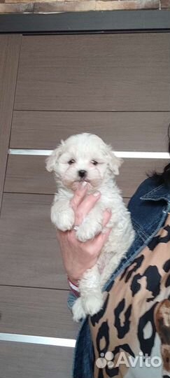 Мини и micro снежинки