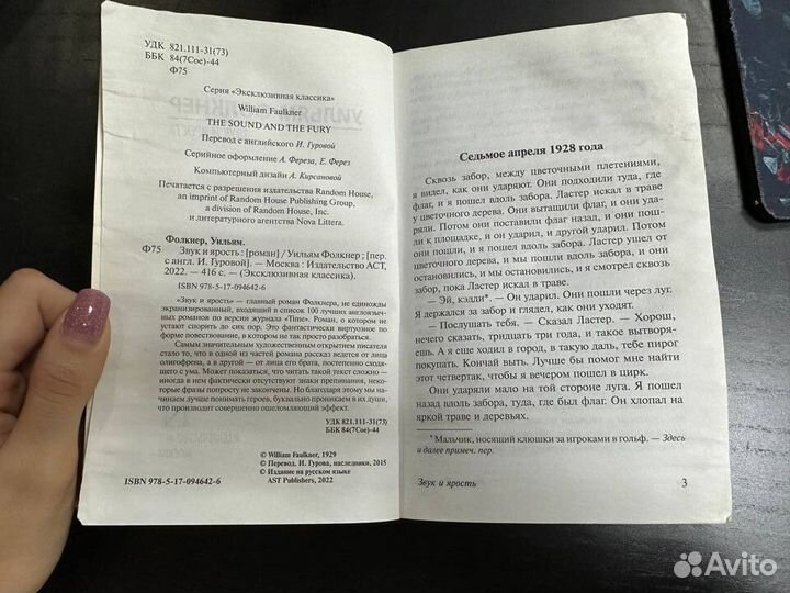 Звук и ярость. Фолкнер Уильям