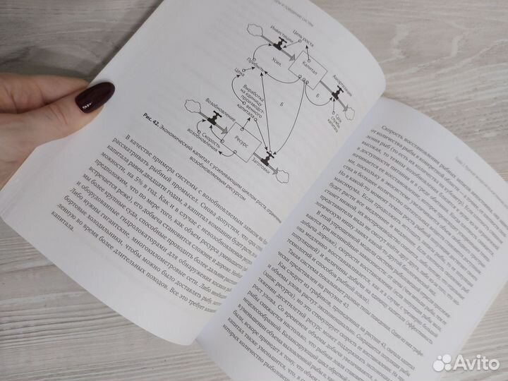 Системное мышление донелла медоуз