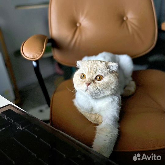 Офисное кресло IKEA натуральная кожа