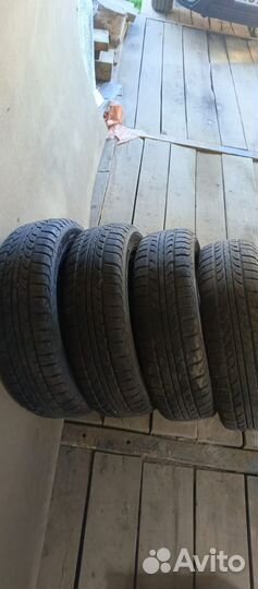 Tunga Zodiak 2 175/65 R14