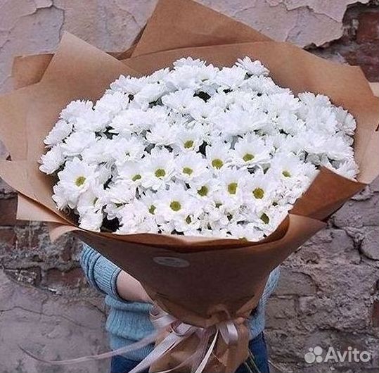 Хризантема