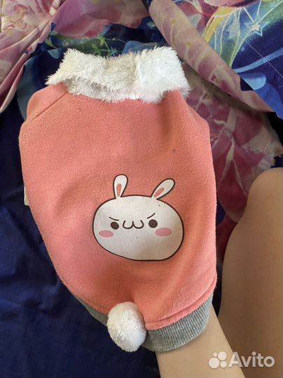 Кофта для кошки, собаки