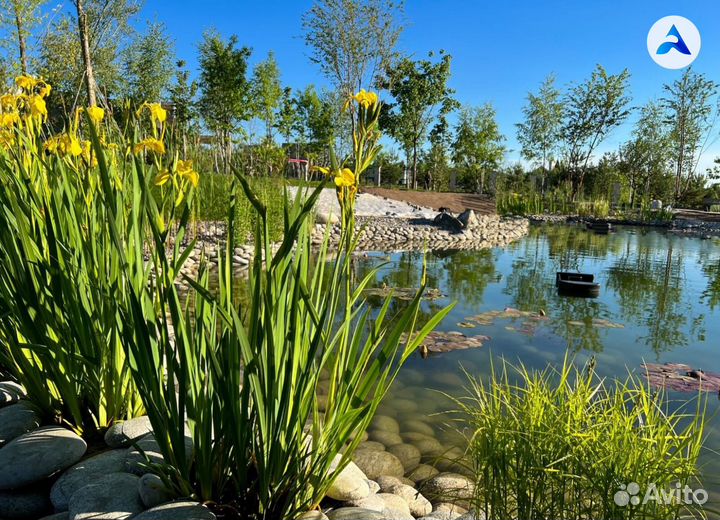 Пруд для ценителей тишины и гармонии с природой