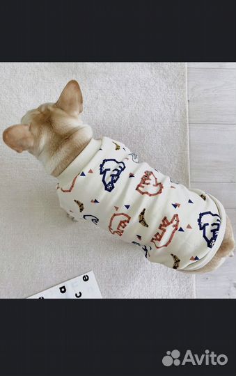 Одежда для французского бульдога, мопса, спаниеля