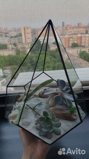 Флорариум 30см. с растениями