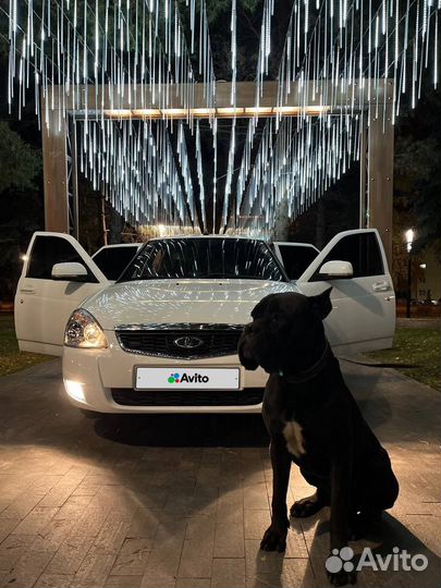 LADA Priora 1.6 МТ, 2012, 186 000 км