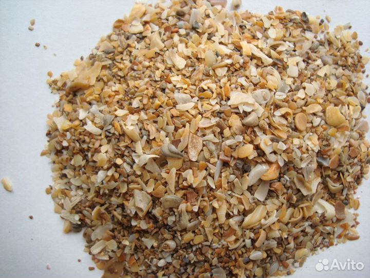 Ракушка кормовая