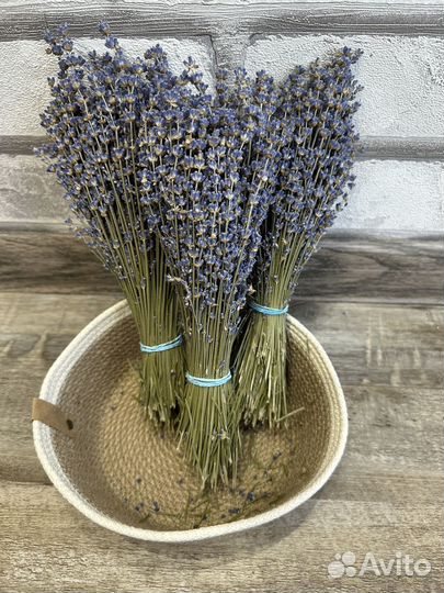 Лаванда Синева Букетики