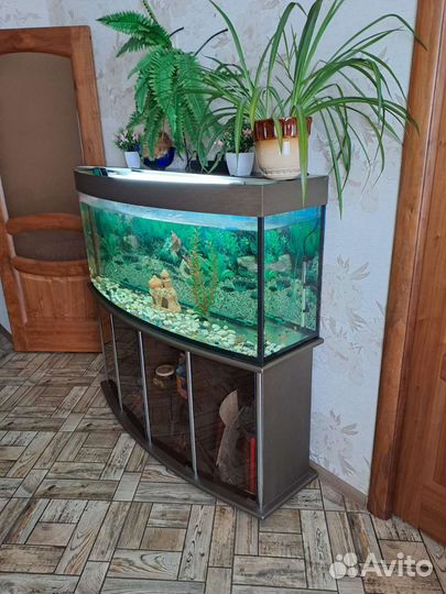 Аквариум