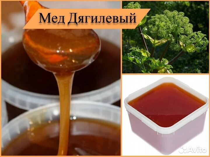 Мед натуральный (липовый, донниковый). Алтай