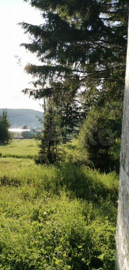 Участок 12 сот. (ИЖС)