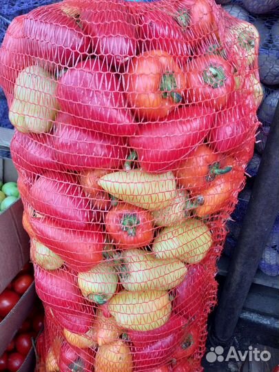 Перец болгарский