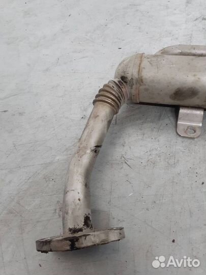 Радиатор EGR Skoda Roomster 2008 03G131512