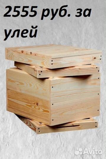 Улья Дадан на 10и12р.(Доставка по области)