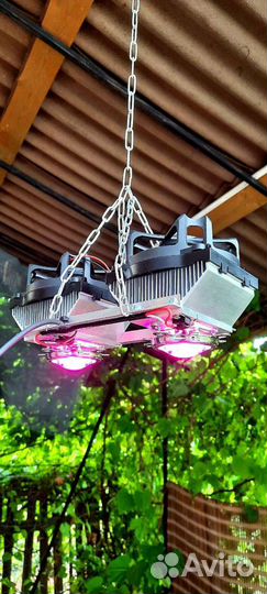 Светильник Фито светодиодный для растений 100Вт
