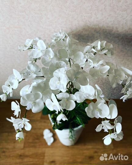 Королевская орхидея в напольном кашпо