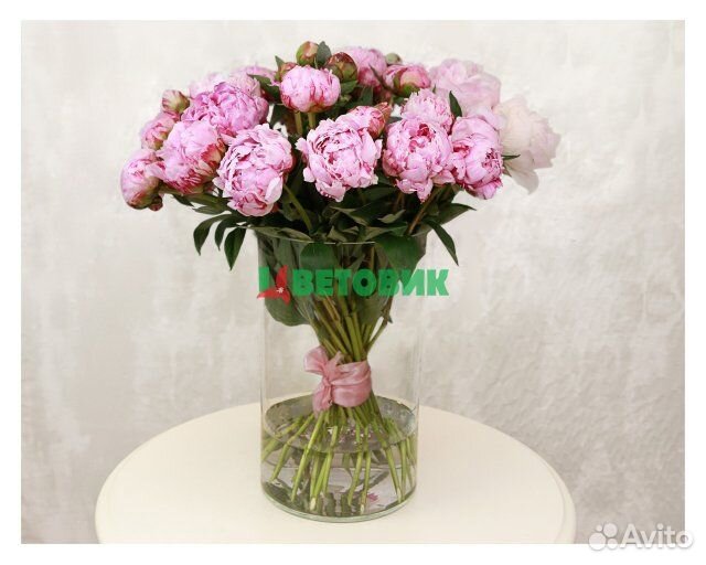 Пион розовый (Голландия) Premium