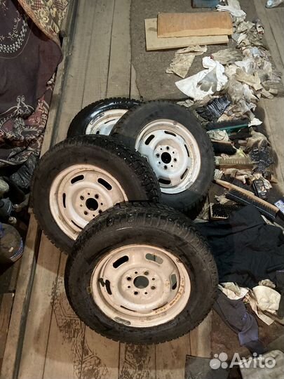 Кама ирбис r13