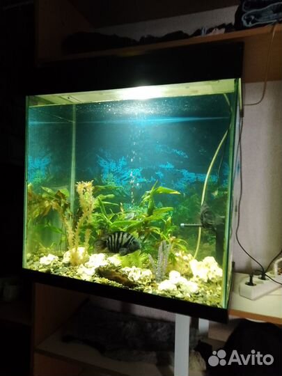 Аквариум
