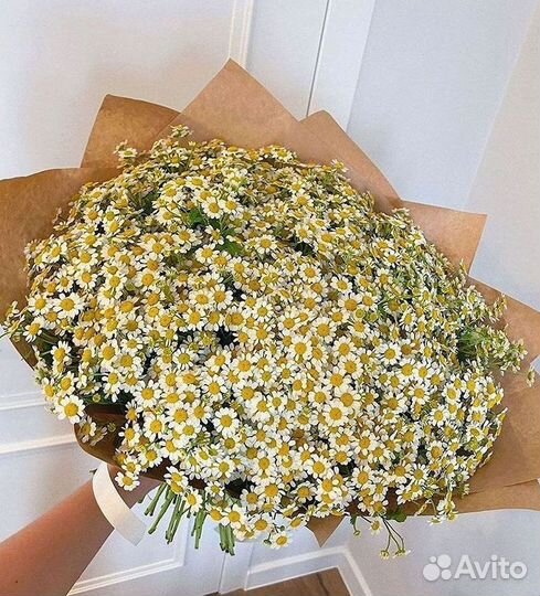 Доставка цветов. Ромашки