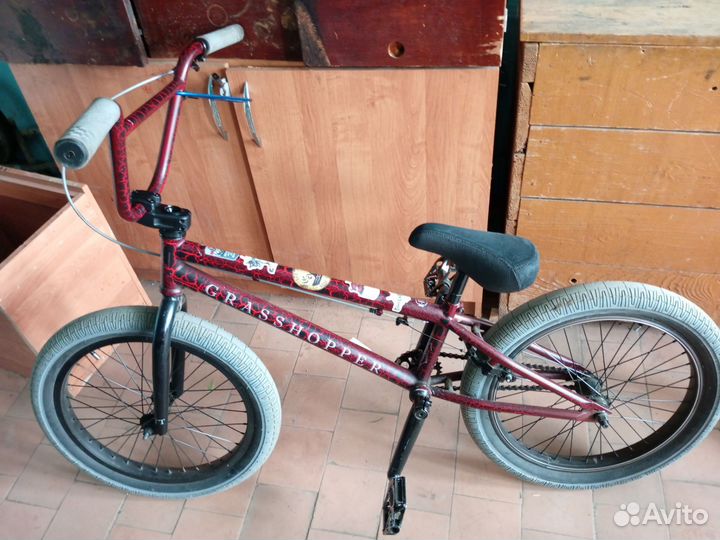 Bmx tech team grasshopper