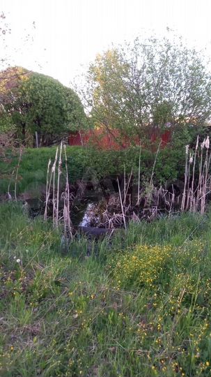 Дом 46,4 м² на участке 15 сот.