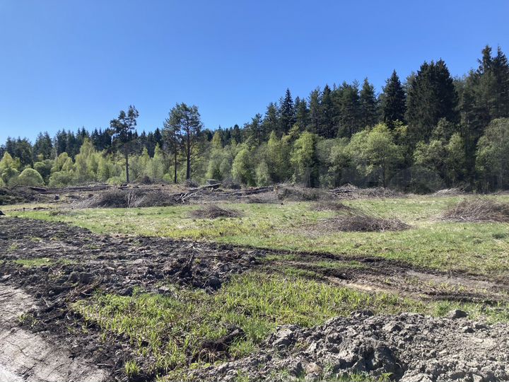 Участок 30 сот. (ИЖС)