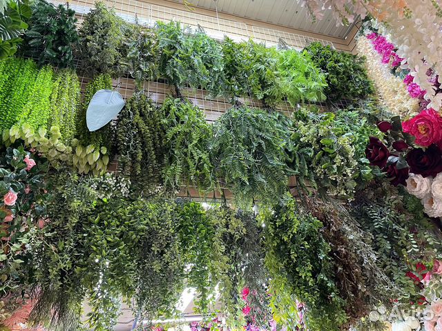 Ампельные растения