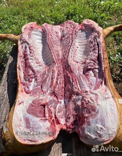 Мясо свинина домашняя