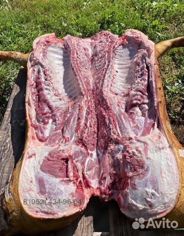 Мясо свинина домашняя