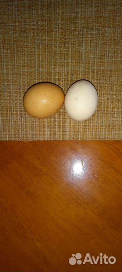 Продам куриное яйцо домашнее